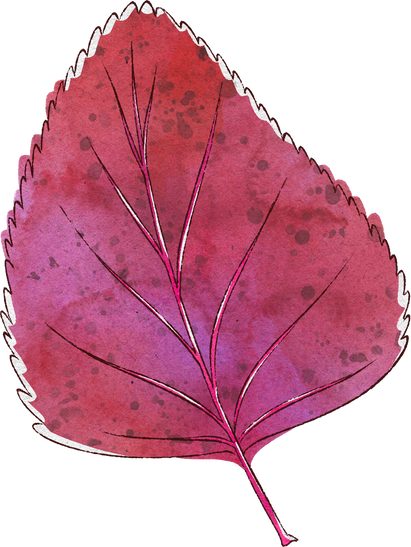 Splotchy Watercolor Fall Purple Birch Leaf