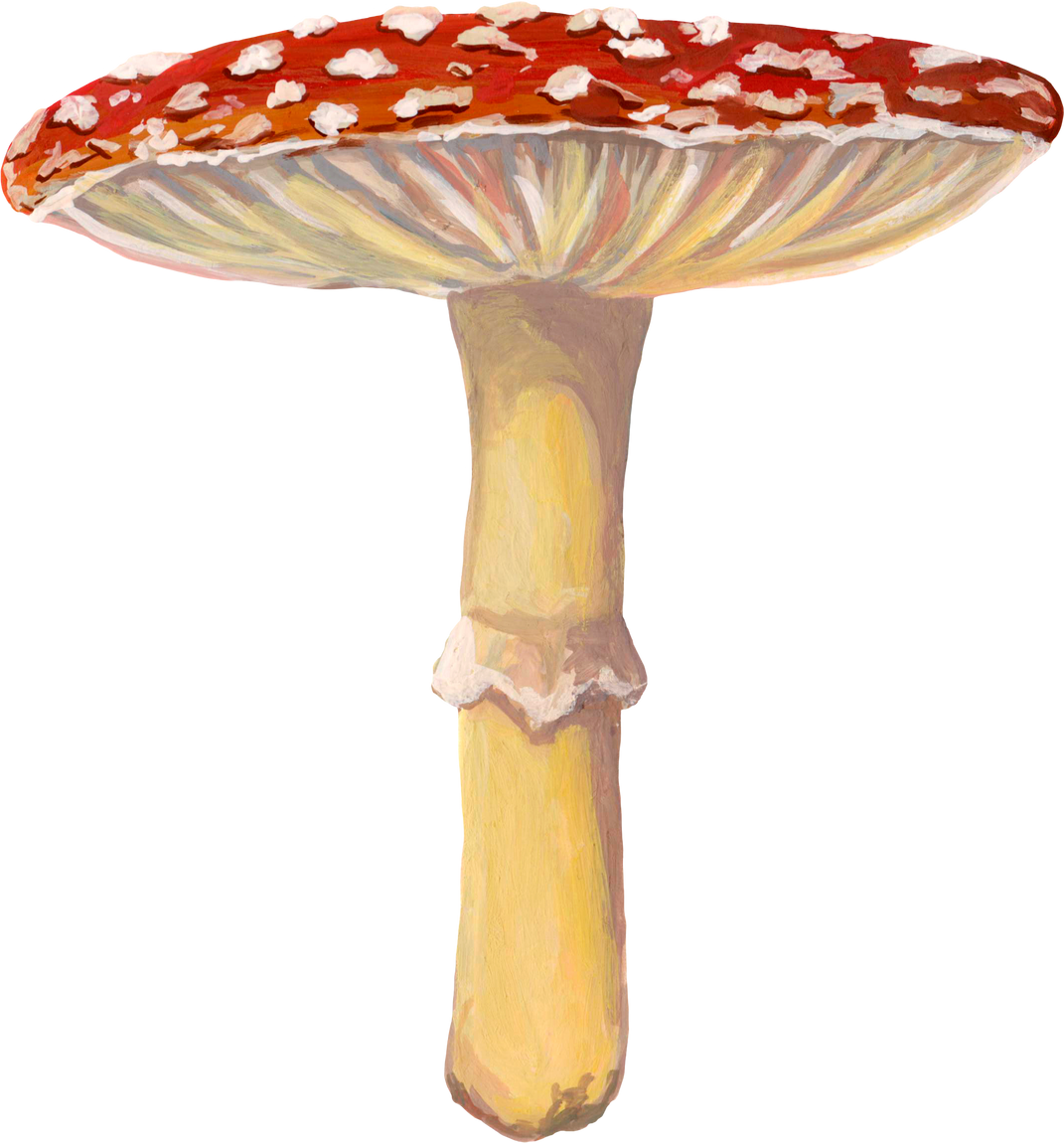 Amanita Poisonous Mushroom Gouache Painting