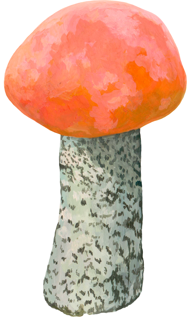 Watercolor Mushroom Illustration